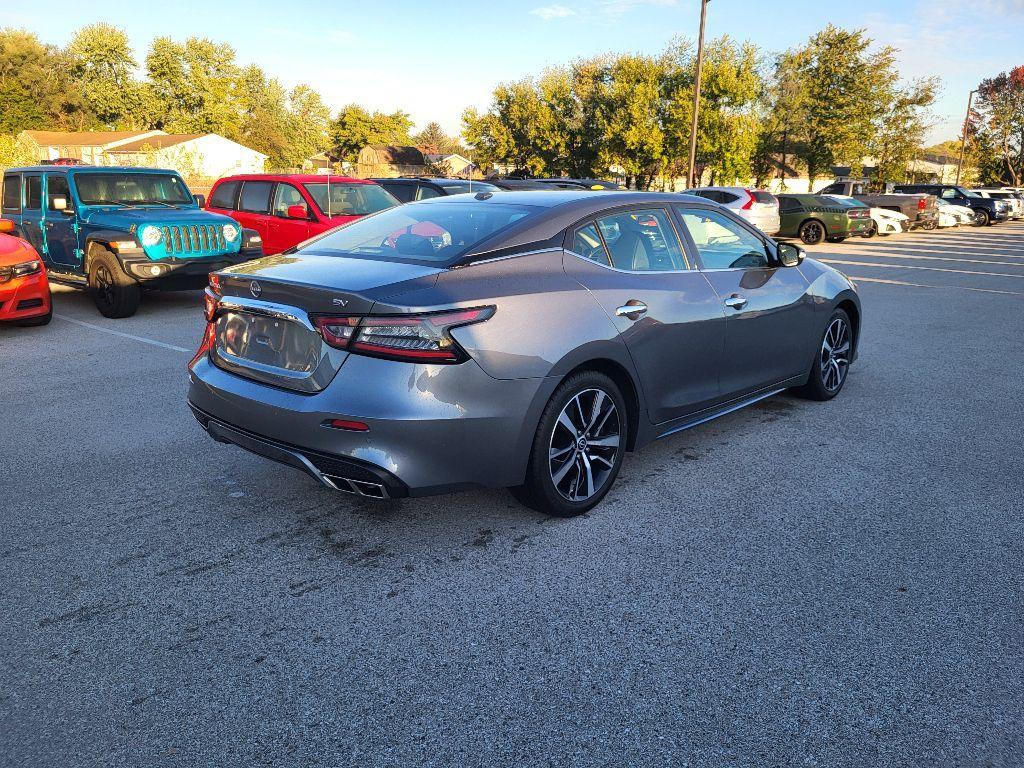 used 2023 Nissan Maxima car