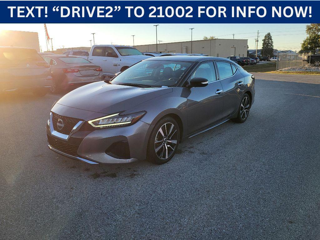 used 2023 Nissan Maxima car