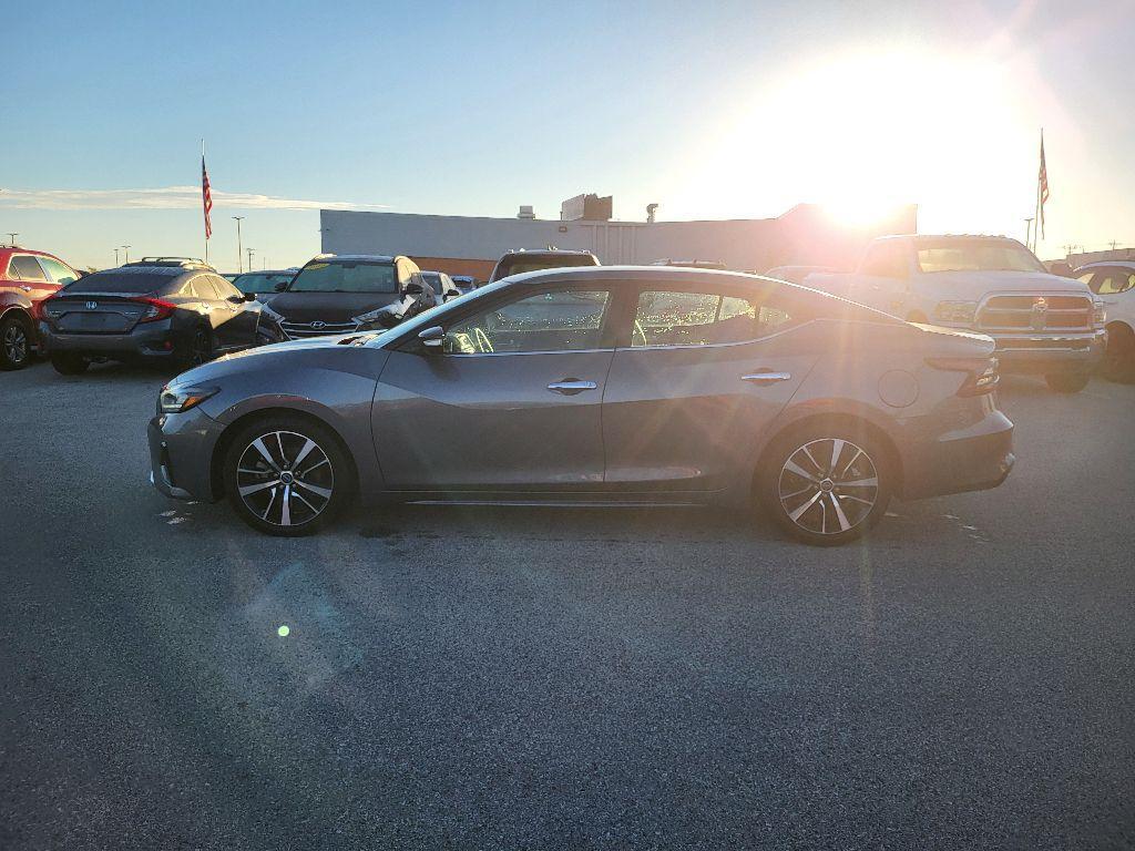 used 2023 Nissan Maxima car