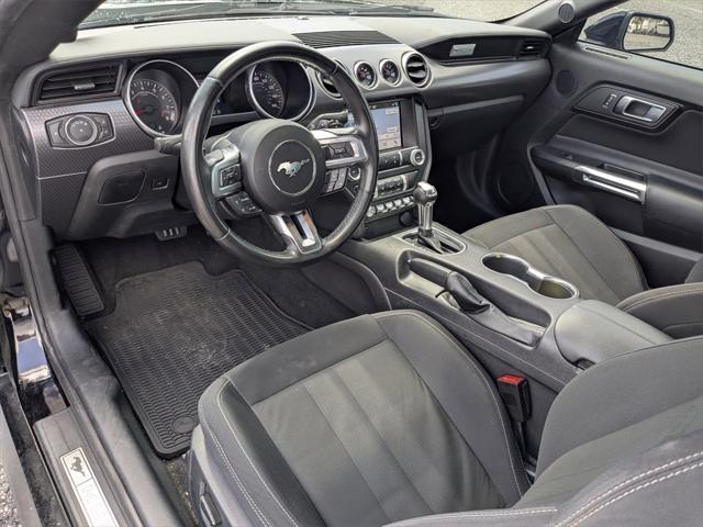 used 2019 Ford Mustang car