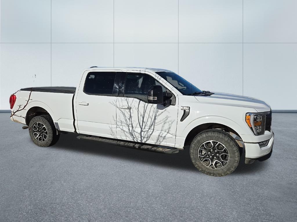 used 2021 Ford F-150 car, priced at $23,979