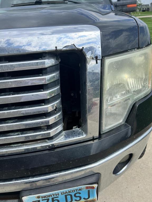 used 2011 Ford F-150 car