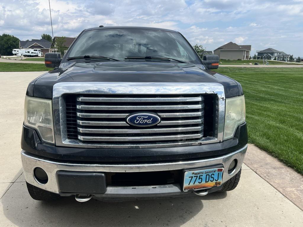 used 2011 Ford F-150 car