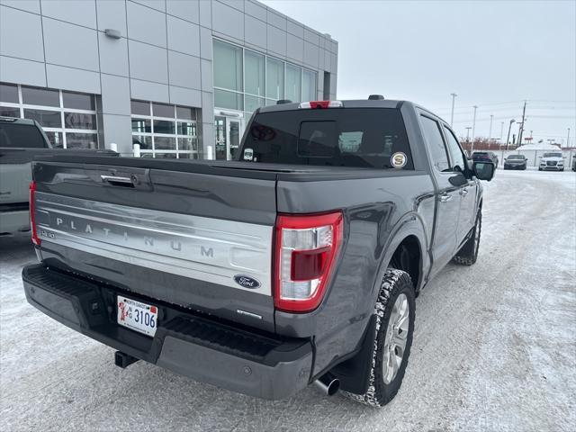 used 2021 Ford F-150 car