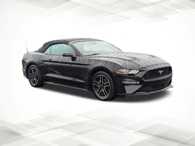 used 2021 Ford Mustang car, priced at $19,994