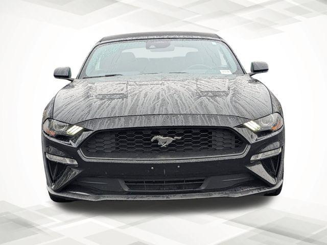 used 2021 Ford Mustang car, priced at $19,994