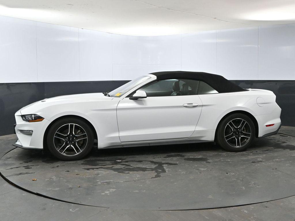 used 2022 Ford Mustang car, priced at $22,000