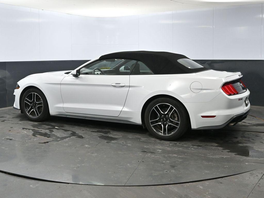 used 2022 Ford Mustang car, priced at $22,000