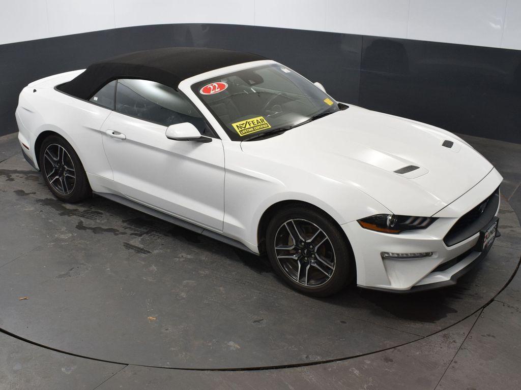 used 2022 Ford Mustang car, priced at $22,000