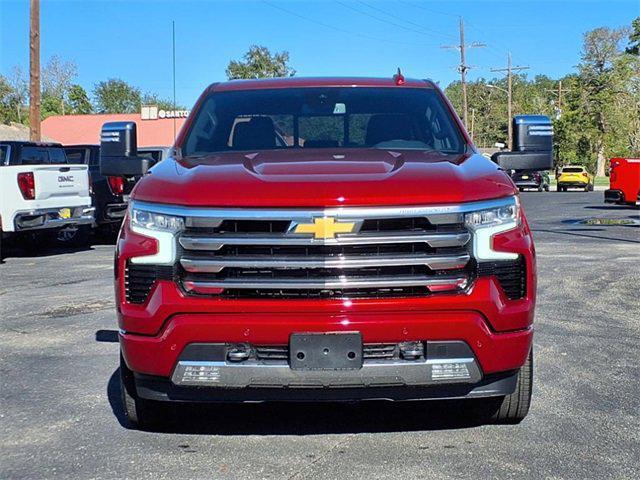 new 2024 Chevrolet Silverado 1500 car, priced at $73,880