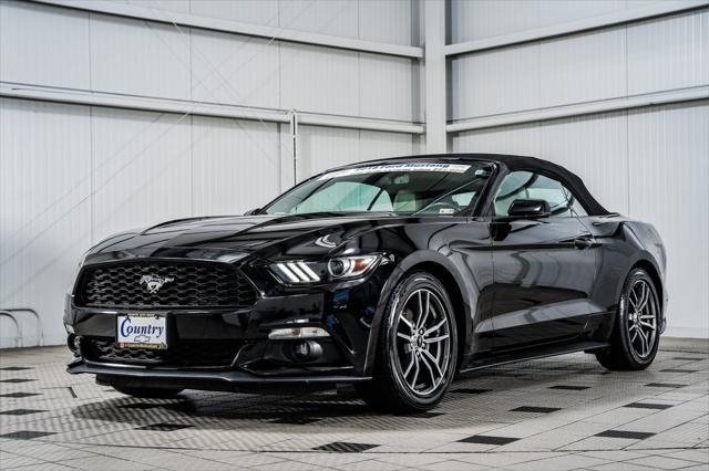 used 2016 Ford Mustang car, priced at $20,000