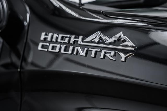 new 2025 Chevrolet Silverado 1500 car, priced at $73,990