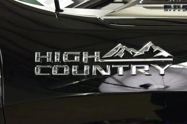 new 2025 Chevrolet Silverado 1500 car, priced at $66,856