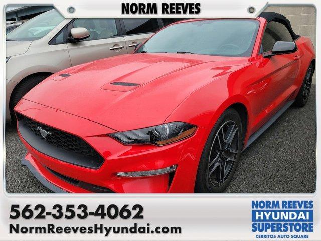 used 2019 Ford Mustang car, priced at $21,895