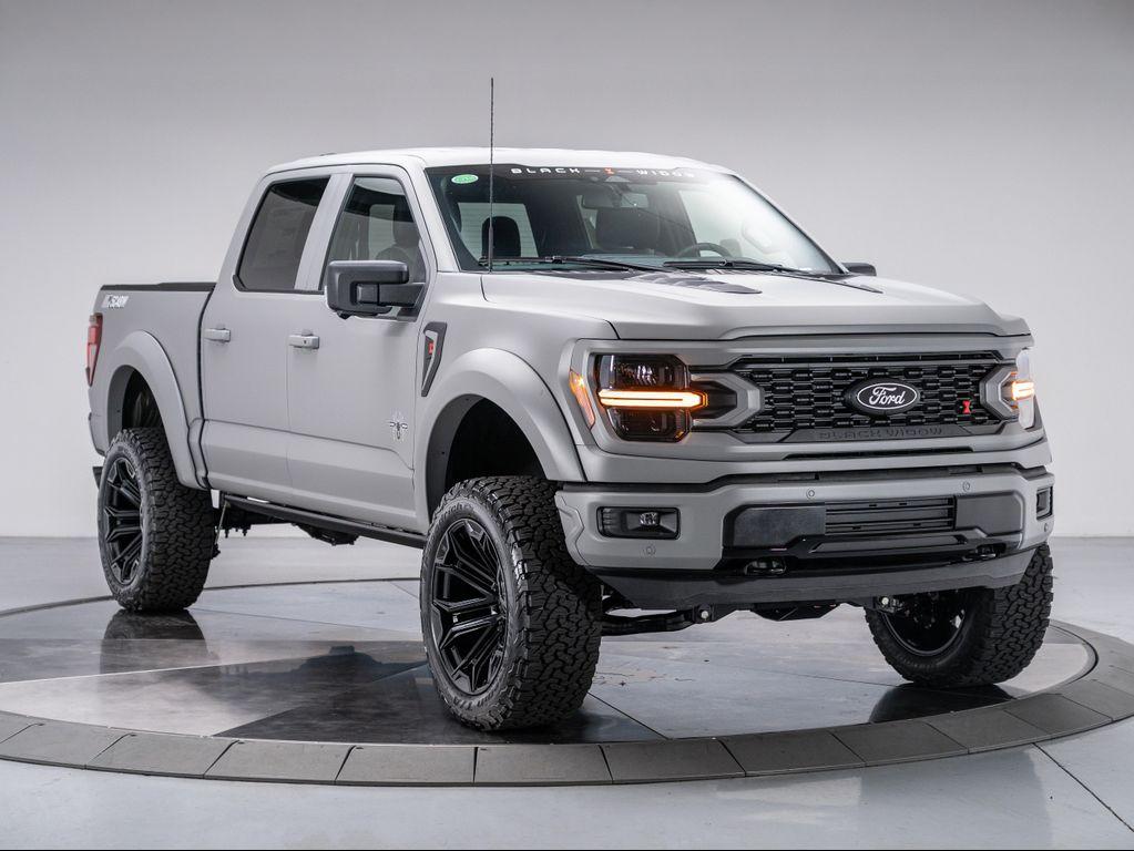 new 2025 Ford F-150 car