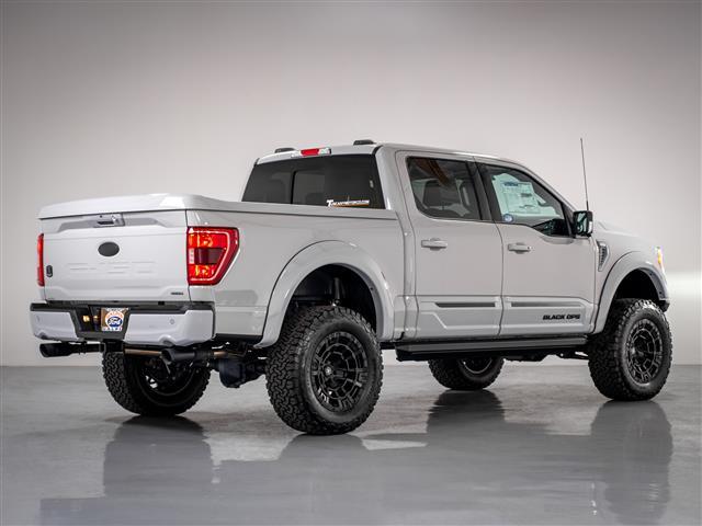 new 2023 Ford F-150 car