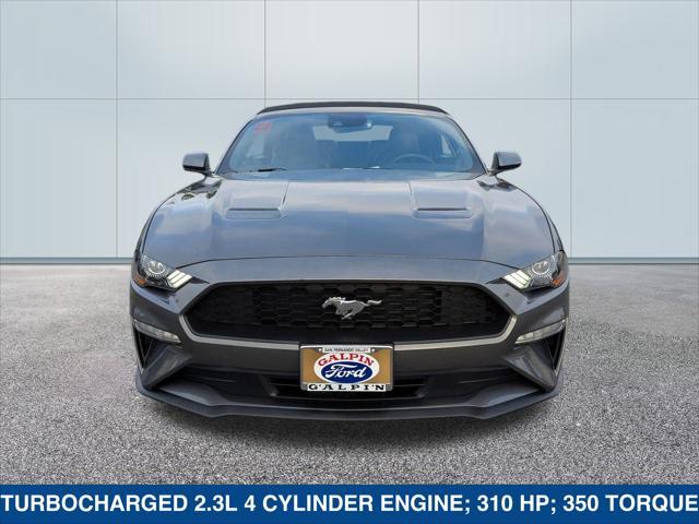 used 2023 Ford Mustang car, priced at $31,000
