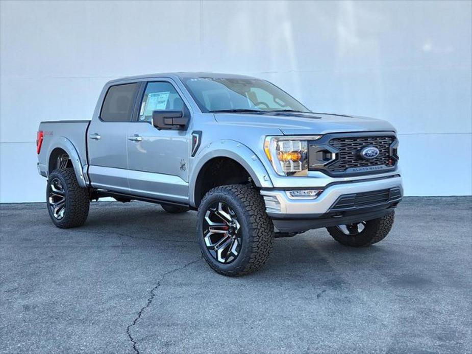 new 2023 Ford F-150 car