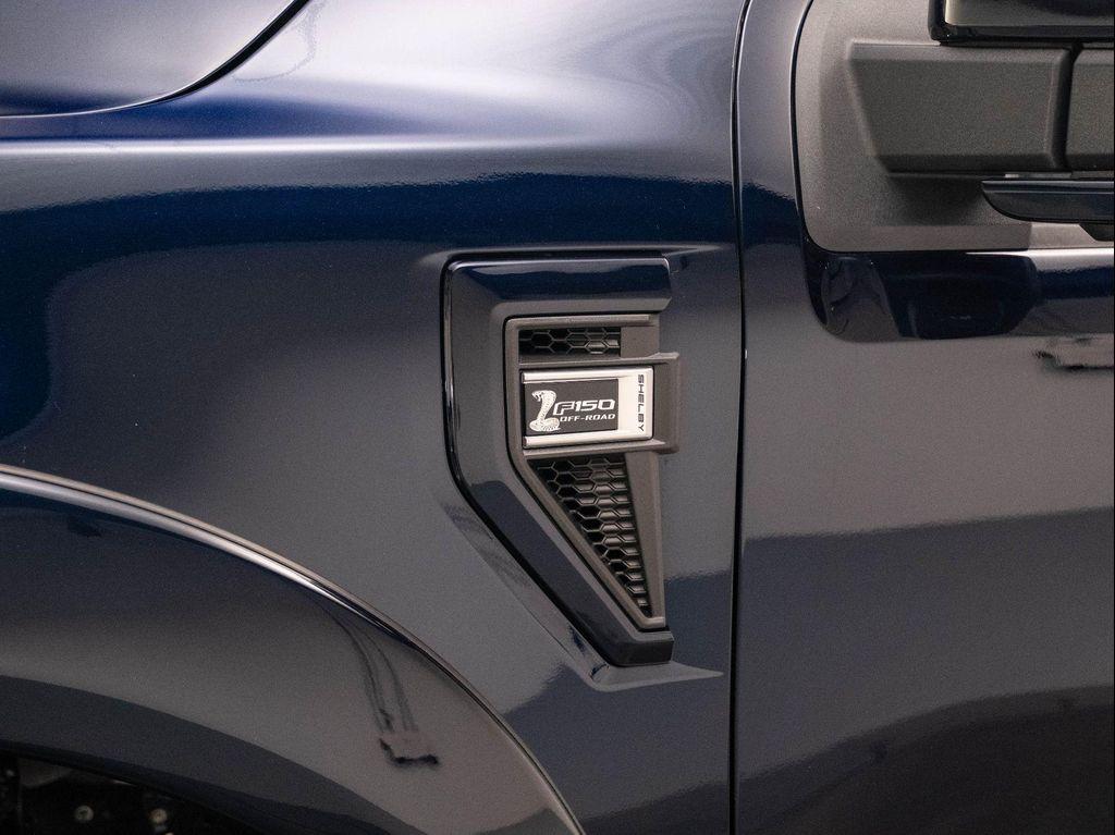 new 2025 Ford F-150 car