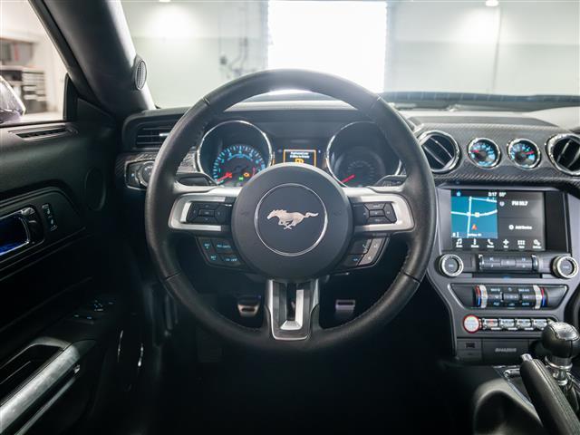 new 2017 Ford Mustang car
