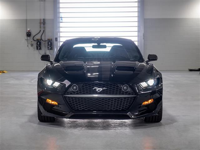 new 2017 Ford Mustang car
