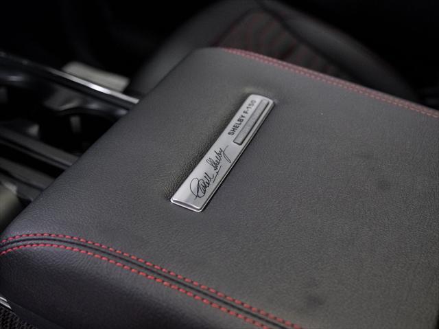 new 2024 Ford F-150 car