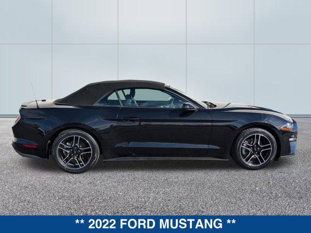 used 2022 Ford Mustang car, priced at $28,000