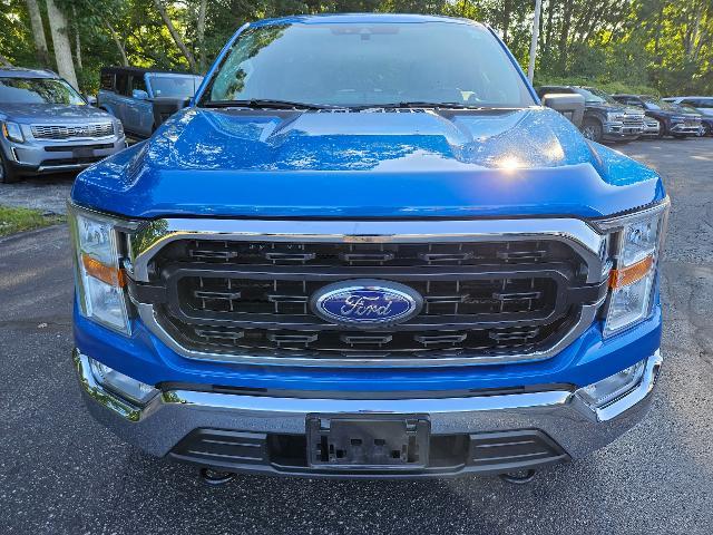 used 2021 Ford F-150 car