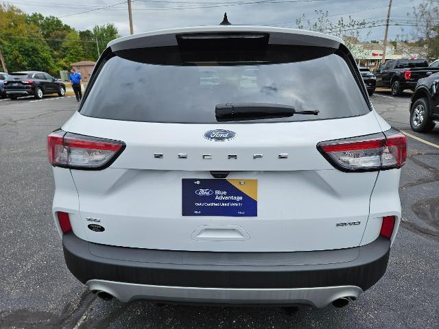 used 2022 Ford Escape car