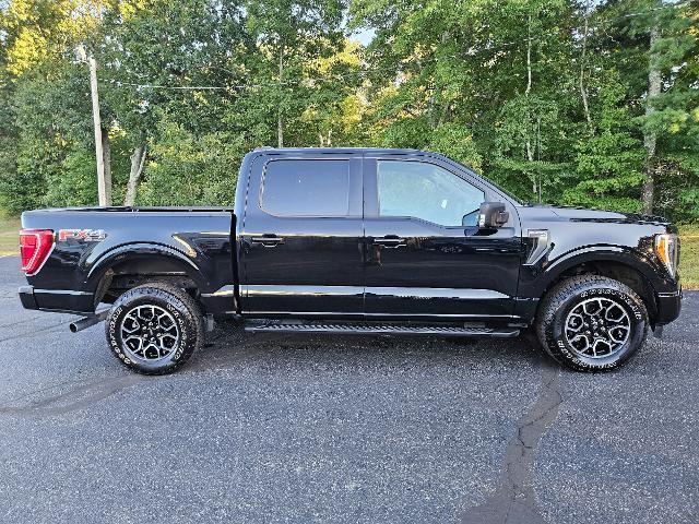 used 2021 Ford F-150 car