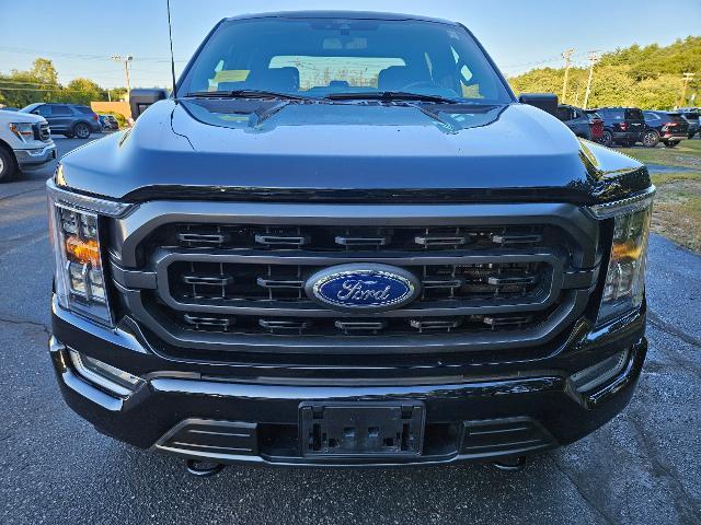 used 2021 Ford F-150 car