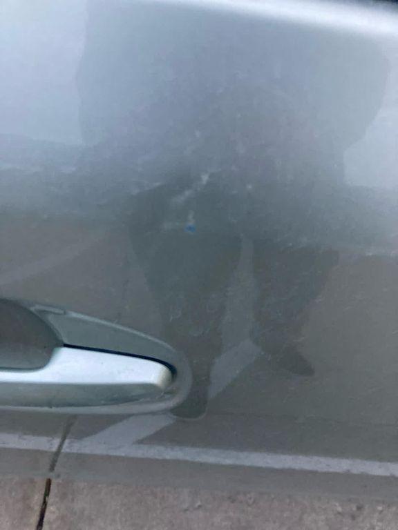 used 2009 Toyota Prius car, priced at $999