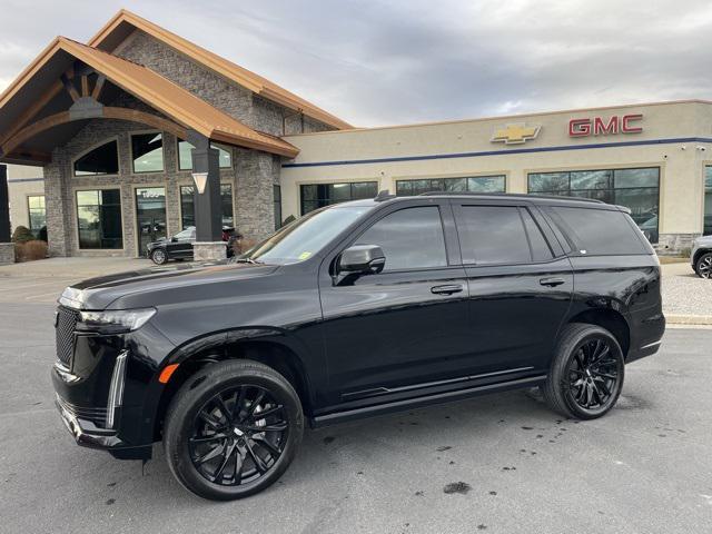 used 2023 Cadillac Escalade car, priced at $83,995