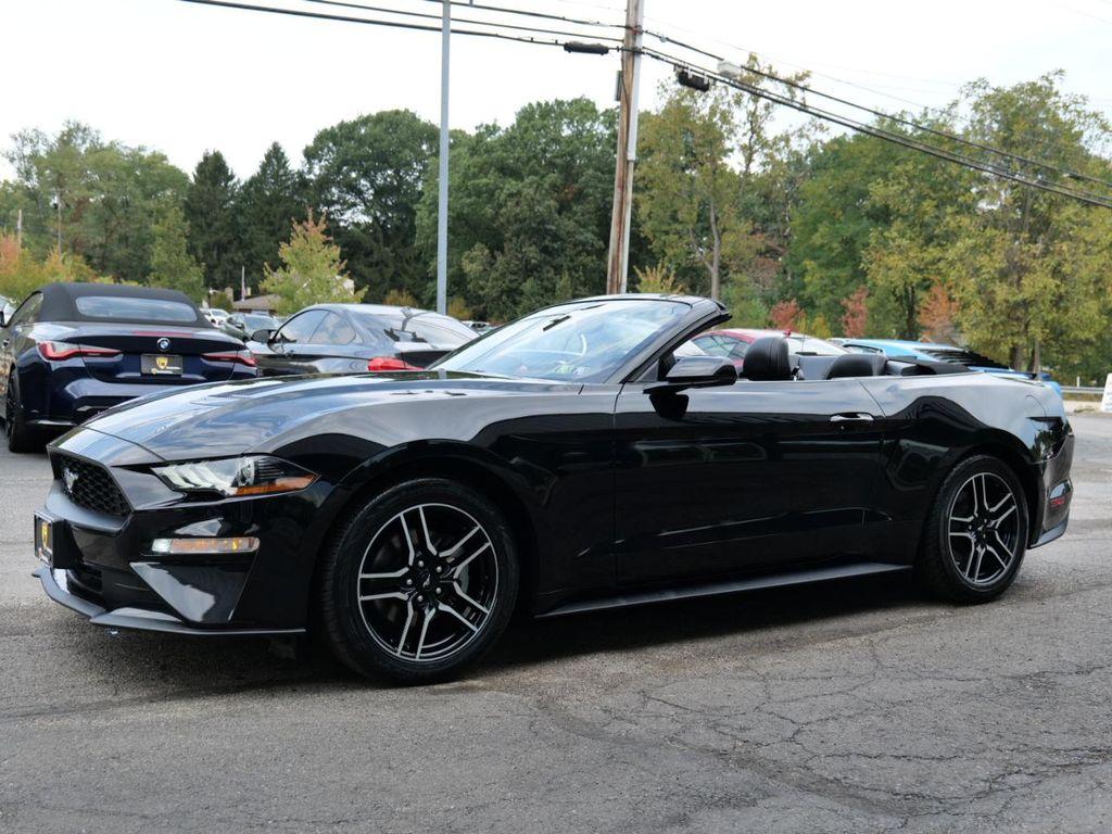 used 2019 Ford Mustang car, priced at $24,900
