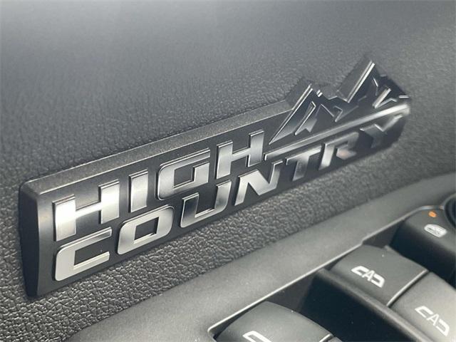 new 2025 Chevrolet Silverado 1500 car, priced at $63,002