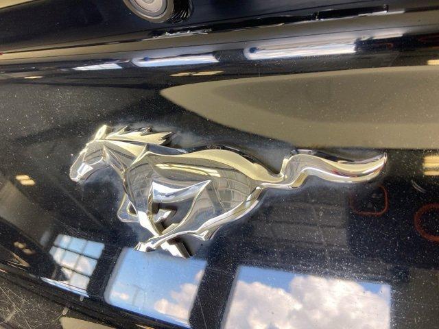 used 2017 Ford Mustang car, priced at $19,988