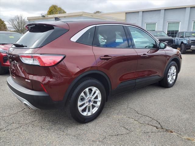 used 2021 Ford Escape car, priced at $19,995