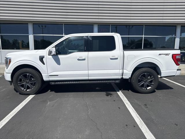used 2023 Ford F-150 car