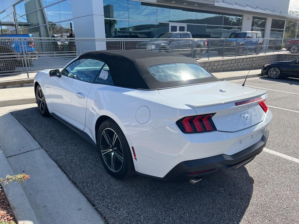 used 2024 Ford Mustang car