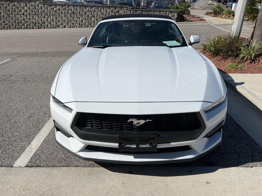 used 2024 Ford Mustang car