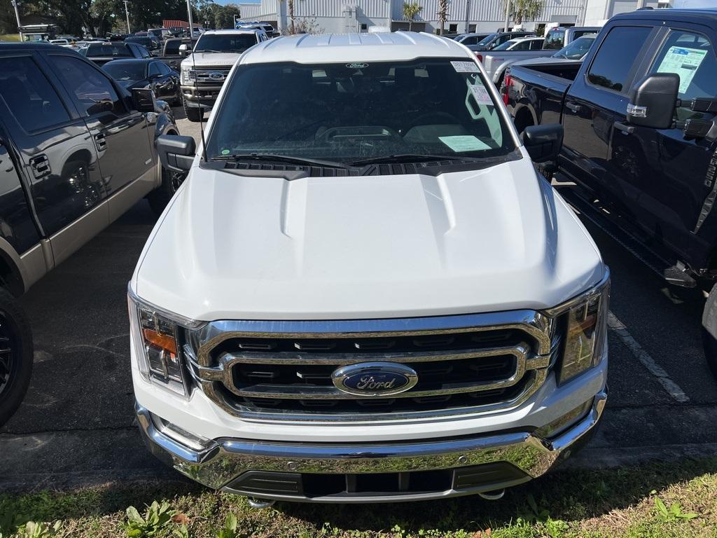 used 2021 Ford F-150 car