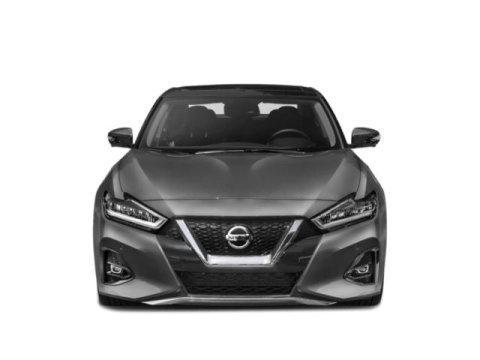 used 2021 Nissan Maxima car