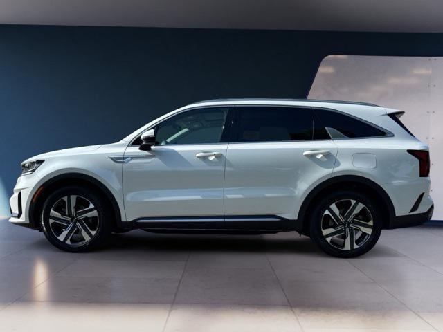 used 2024 Kia Sorento Hybrid car, priced at $34,200