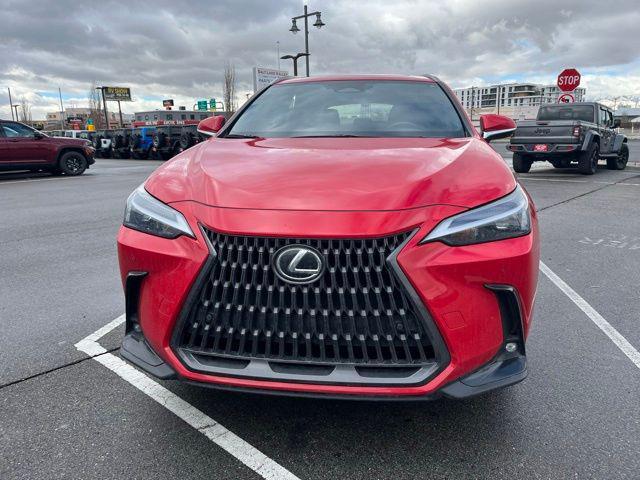 used 2024 Lexus NX 350 car, priced at $43,999