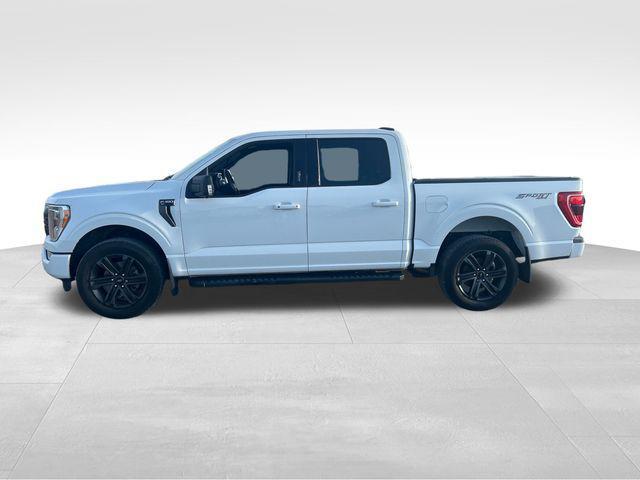 used 2021 Ford F-150 car, priced at $31,665