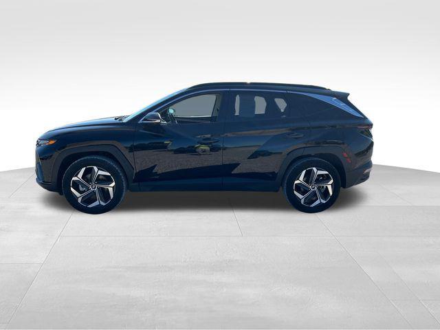 used 2024 Hyundai Tucson car, priced at $27,655