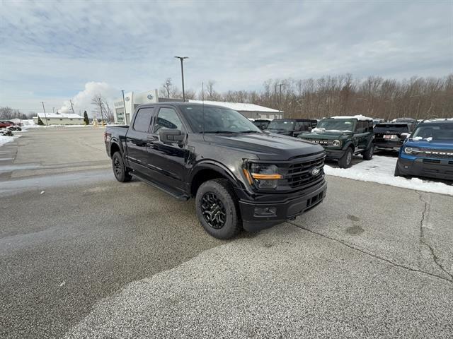 new 2025 Ford F-150 car, priced at $61,480