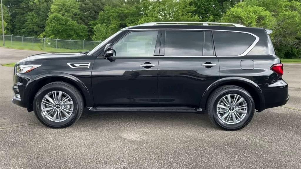 new 2024 INFINITI QX80 car, priced at $80,795