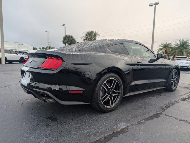 used 2023 Ford Mustang car