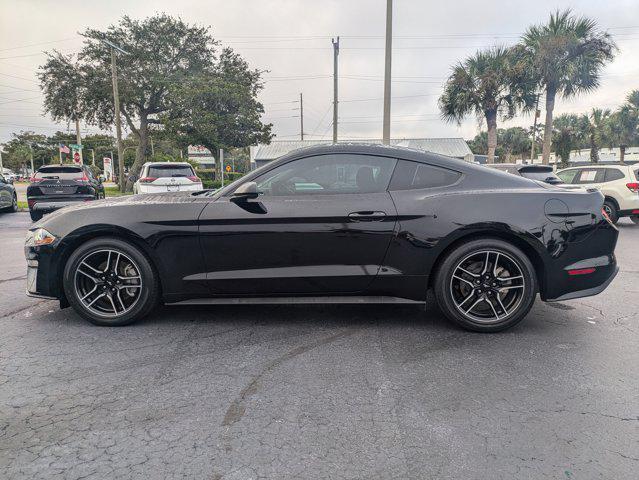 used 2023 Ford Mustang car
